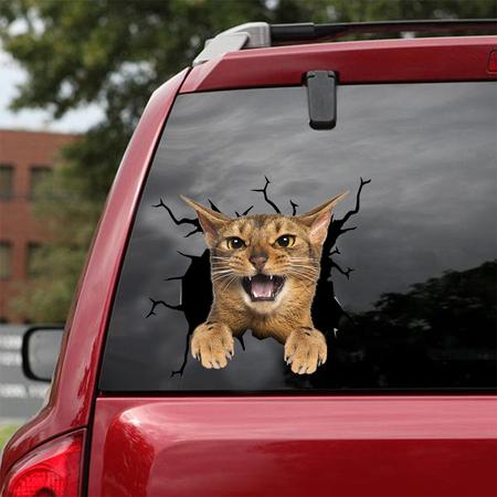 Cat Sticker ABYSSINIAN CAT CRACK CAR STICKER CAT LOVERS 748798