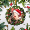 Pig Farmhouse Christmas gift for pig lover Ornament TTM