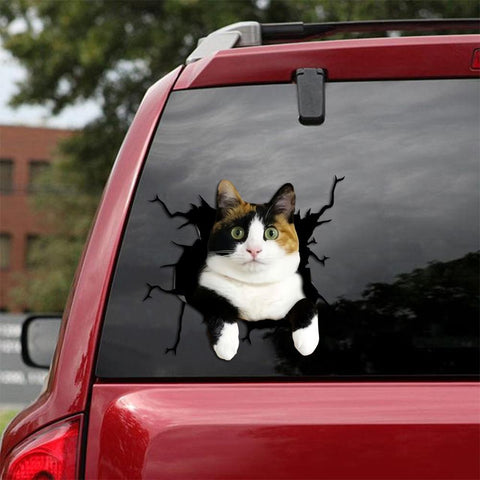 Cat Sticker Cat Sticker Car Sticker Cats Lover (232)
