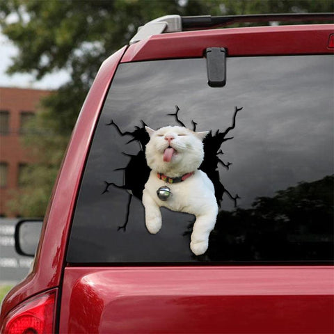 Cat Sticker Car Sticker Cats Lover HT