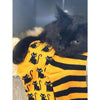 Men and Women's Halloween Socks (Pair) Spooky Black Cat Print Yellow and Black Stripes Socks Halloween Gifts