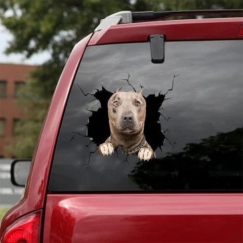 Pitbull Crack Car Sticker Dogs Lover Gift HT