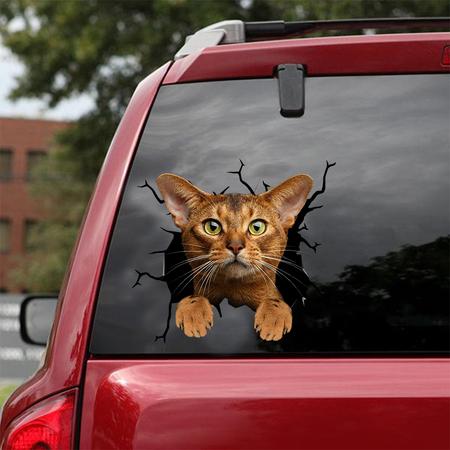 Cat Sticker ABYSSINIAN CAT CRACK CAR STICKER CAT LOVERS 849395