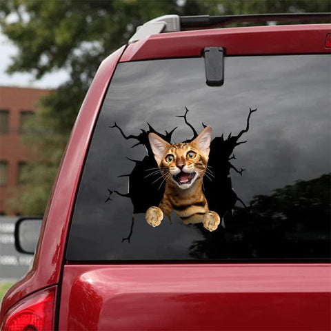 Cat Sticker Car Sticker Cats Lover (39)