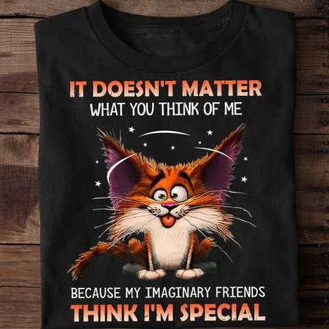 It Doesn't Matter What You Think Of Me I'm Special Classic T-Shirt Funny Cat Shirt HN