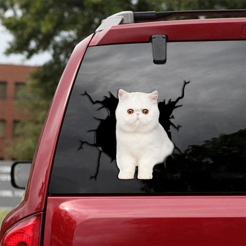 Cat Sticker Car Sticker Cats Lover (239)