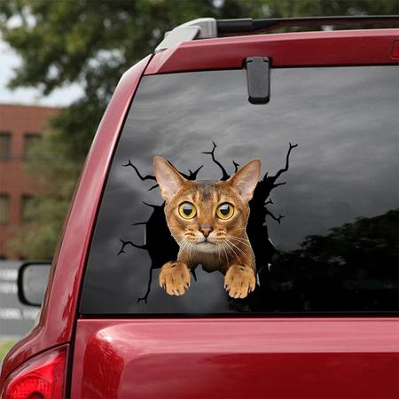 Cat Sticker ABYSSINIAN CAT CRACK CAR STICKER CAT LOVERS 943099