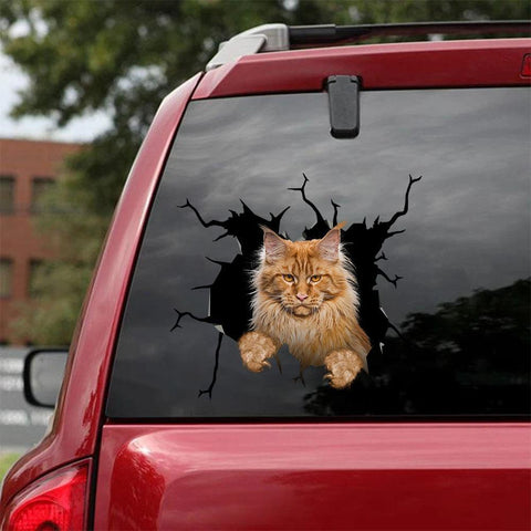 Cat Sticker Car Sticker Cats Lover (189)