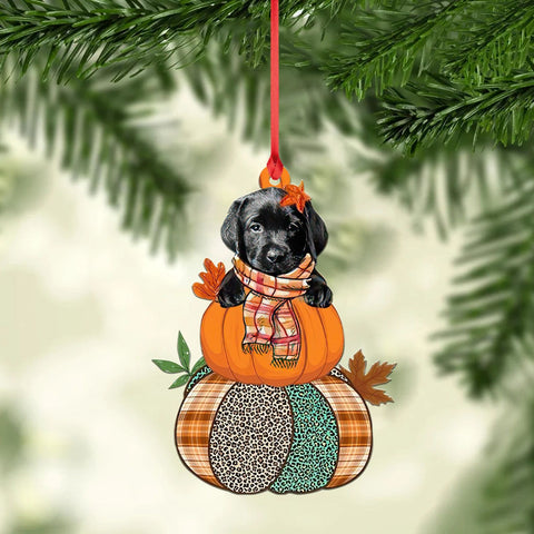 Labrador Retriever Dog Car Ornament, Labrador Dog Pumpkin Ornament, Labrador Dog Fall Ornament, Labrador Dog Thanksgiving Party Decor HT