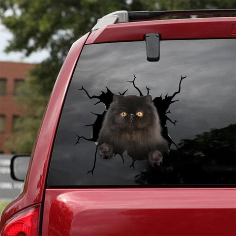Car Sticker Cats Lover (199)
