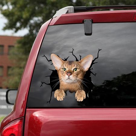 Cat Sticker ABYSSINIAN CAT CRACK CAR STICKER CAT LOVERS 799151
