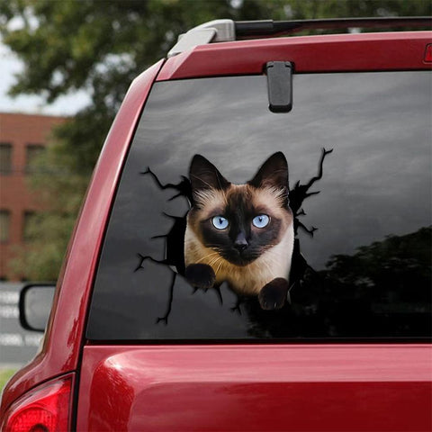 Cat Sticker Car Sticker Cats Lover (242)
