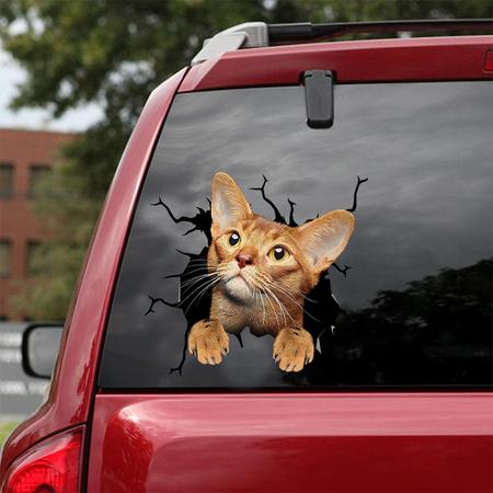 Cat Sticker ABYSSINIAN CAT CRACK CAR STICKER CAT LOVERS 528346