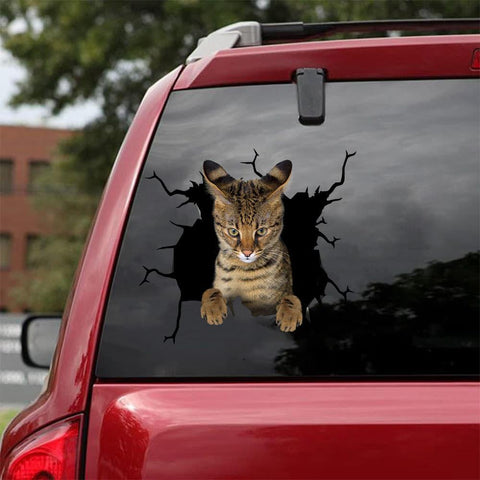 Car Sticker Cats Lover (79)