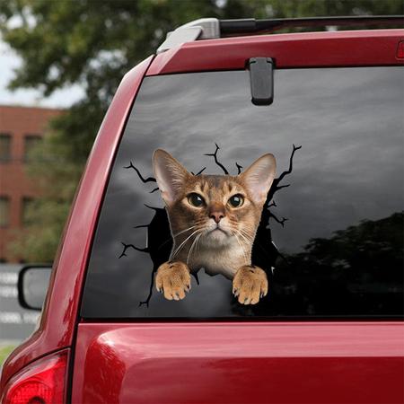 Cat Sticker ABYSSINIAN CAT CRACK CAR STICKER CAT LOVERS 115547