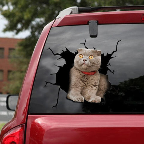 Cat Sticker Car Sticker Cats Lover (120)