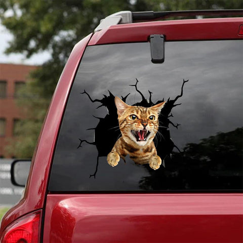 Car Sticker Cats Lover (38)