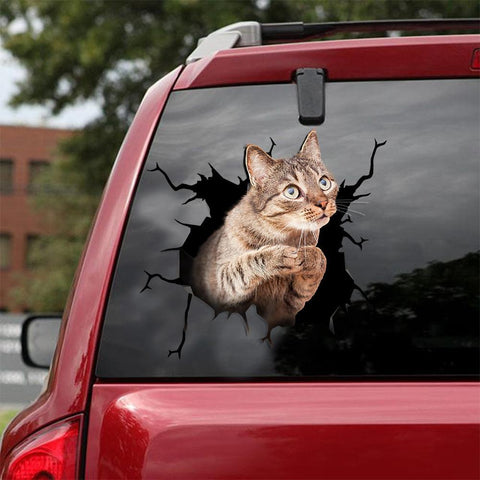 Cat Sticker Car Sticker Cats Lover HT