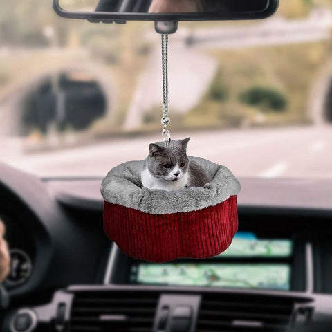 CAT RED CAR HANGING ORNAMENT