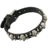 Leather Bracelet Skull Stud Charm Bracelets