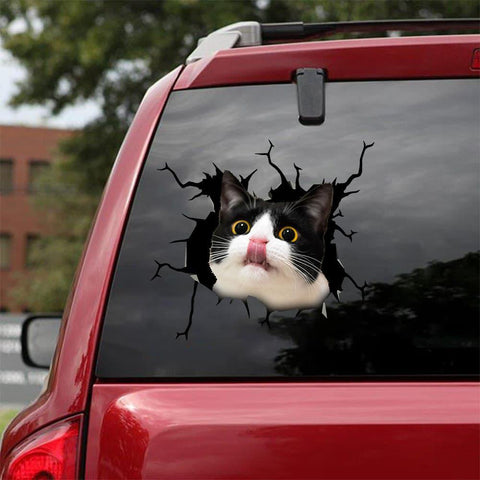 Car Sticker Cats Lover (9)