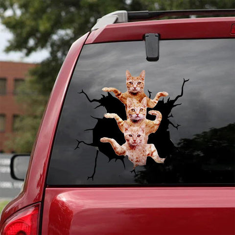 Cat Sticker Car Sticker Cats Lover (181)