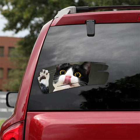 Cat Sticker Car Sticker Cats Lover (158)