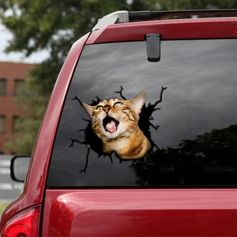 Car Sticker Cats Lover (246)