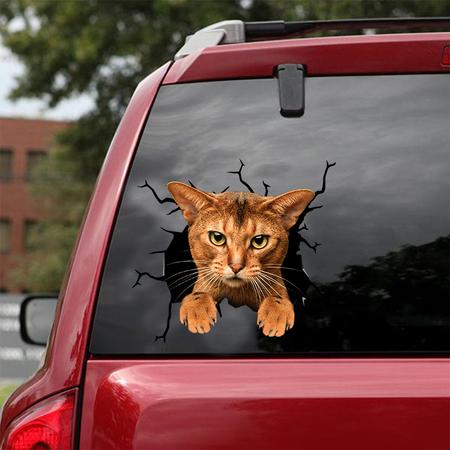 Cat Sticker ABYSSINIAN CAT CRACK CAR STICKER CAT LOVERS 463185