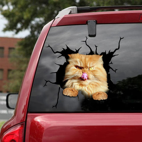 Car Sticker Cats Lover (149)