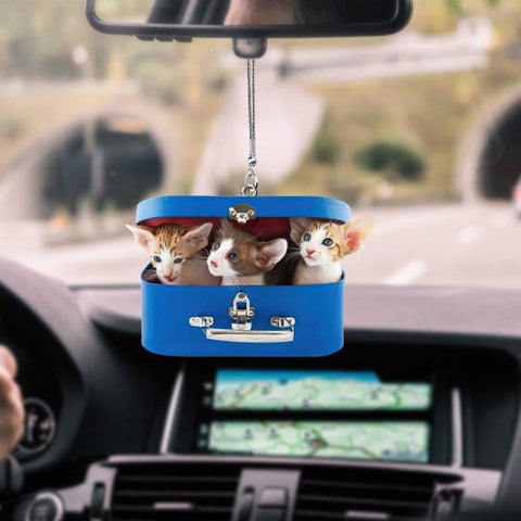 7 CAT KITTENS IN SUITCASE CAR HANGING ORNAMENT